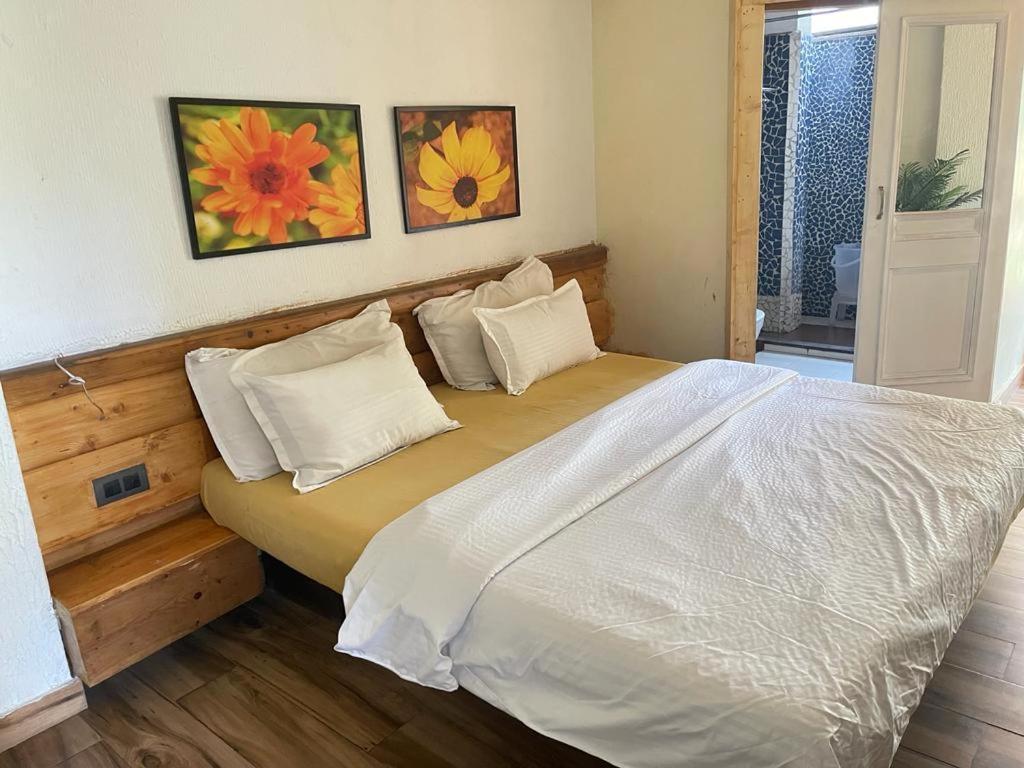 Sunrise Cottage Dagshai ภายนอก รูปภาพ